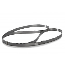 Bandsägeblatt 165cm für GAMMO J-210 Knochenbandsäge