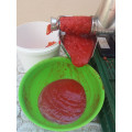TRE SPADE SpremiTo Elektrische Tomatenpresse INOX